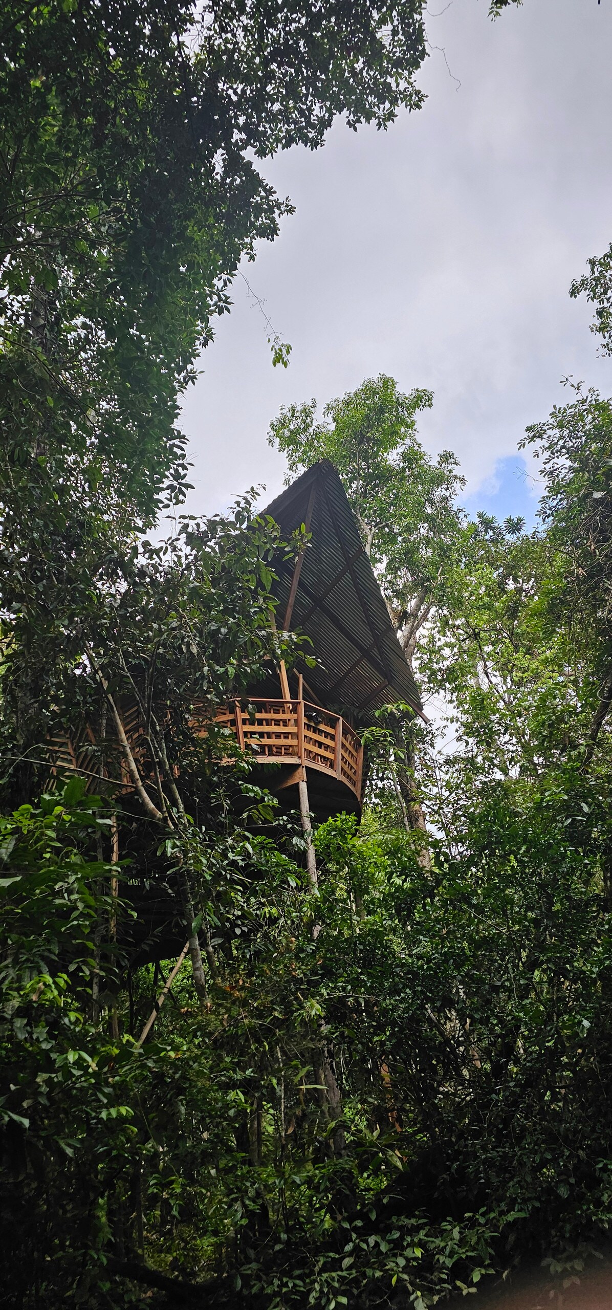 A treehouse is nestled among lush greenery, featuring a steeply pitched roof and a spacious balcony with wooden railings. Surrounding trees create a natural canopy, allowing glimpses of the sky above. The structure stands elevated, partially concealed by dense foliage.