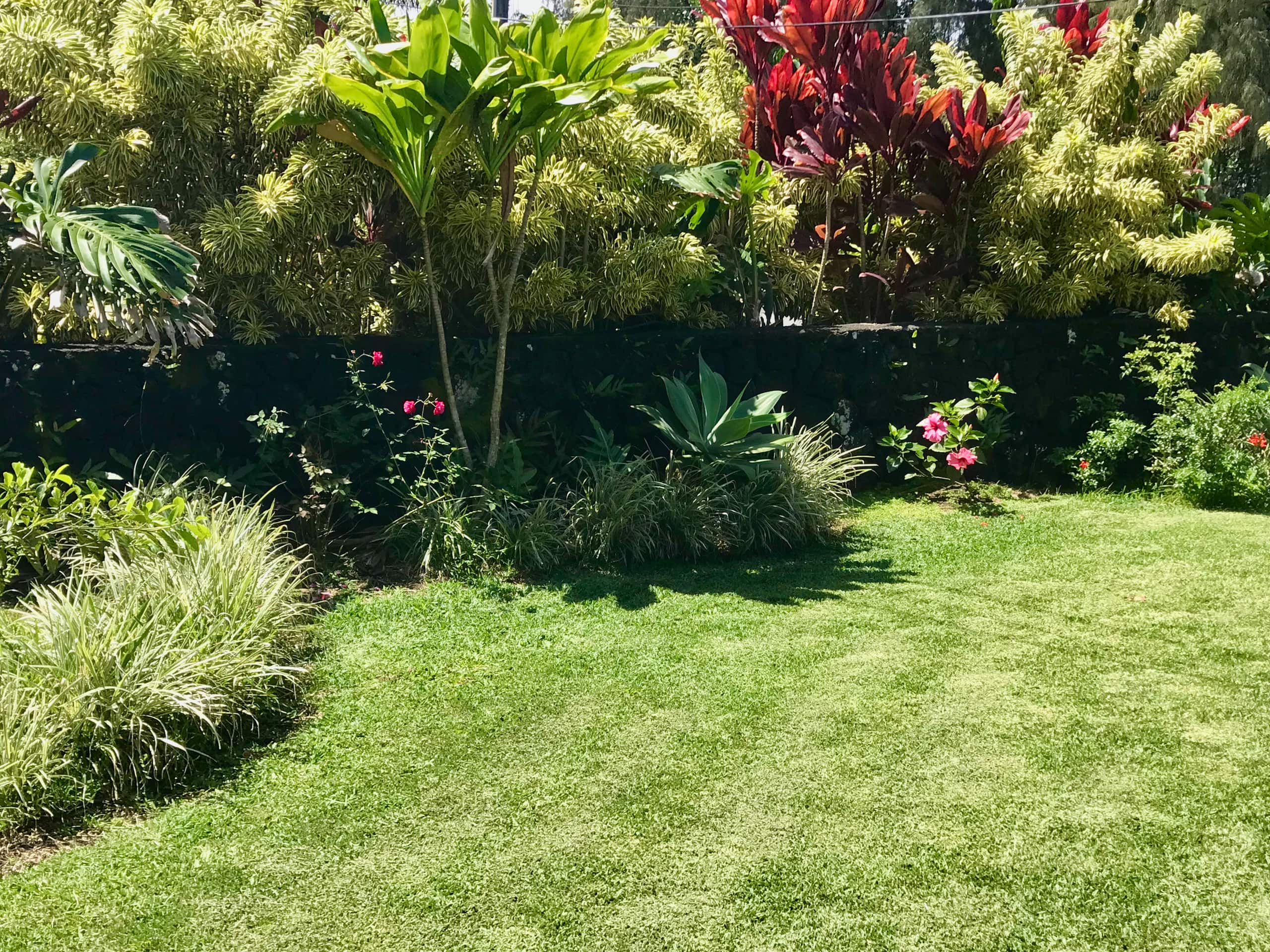 Home in Keaau · ★4.94 · 3 bedrooms · 3 beds · 2 baths - Image 12