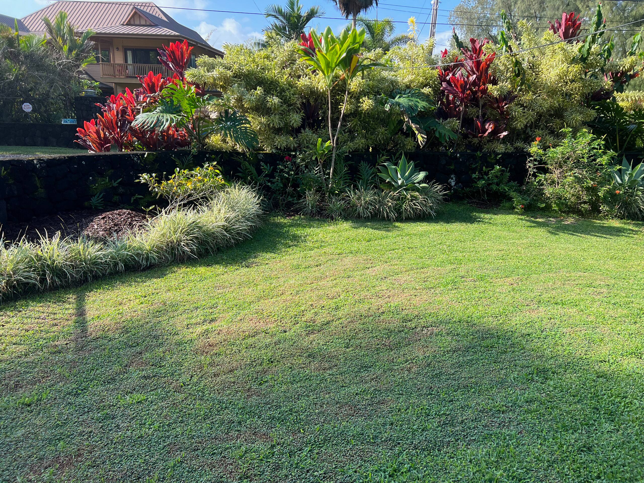 Home in Keaau · ★4.94 · 3 bedrooms · 3 beds · 2 baths - Image 11
