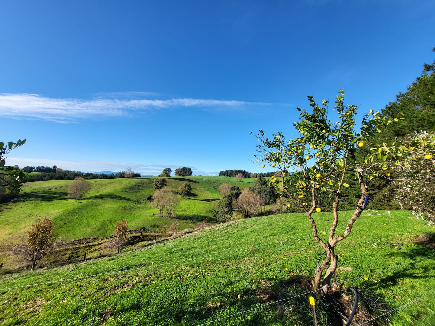 Country Retreat 2