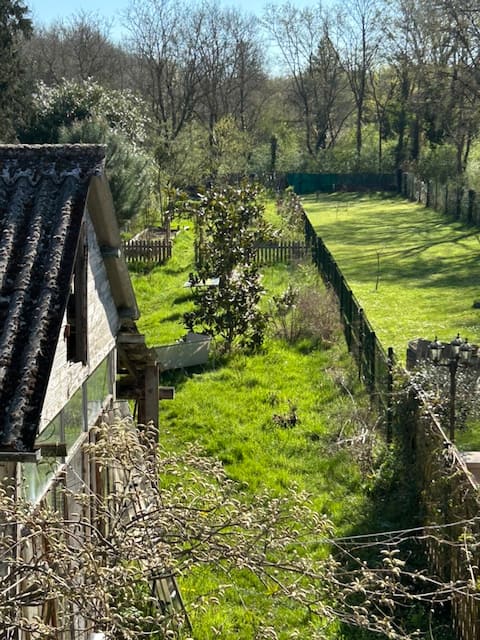 Family home on the edge of a forest