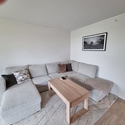Popular Airbnb listing: Brand new and modern apartment (70 sqm) in Drammen