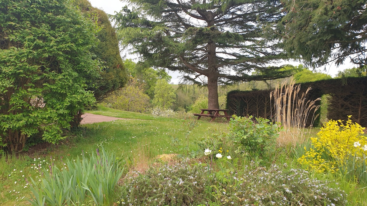 A green garden area features a picnic table positioned under a large tree. Surrounding flora includes tall grasses and flowering plants, creating a natural setting. Pathways are visible, inviting exploration of the serene outdoor space.