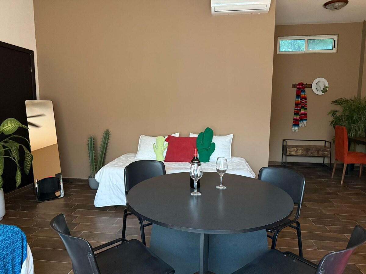 Successful Airbnb property: charmant studio in Santiago