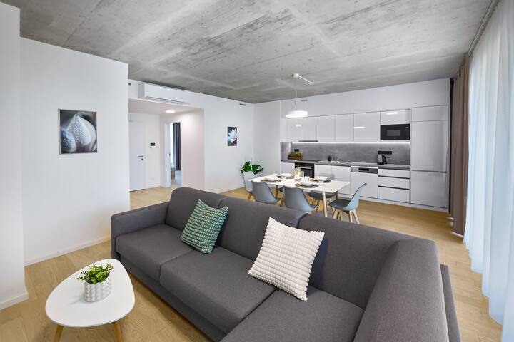 Penthouse Three-Bedroom Apartment with Terrace gallery image 4