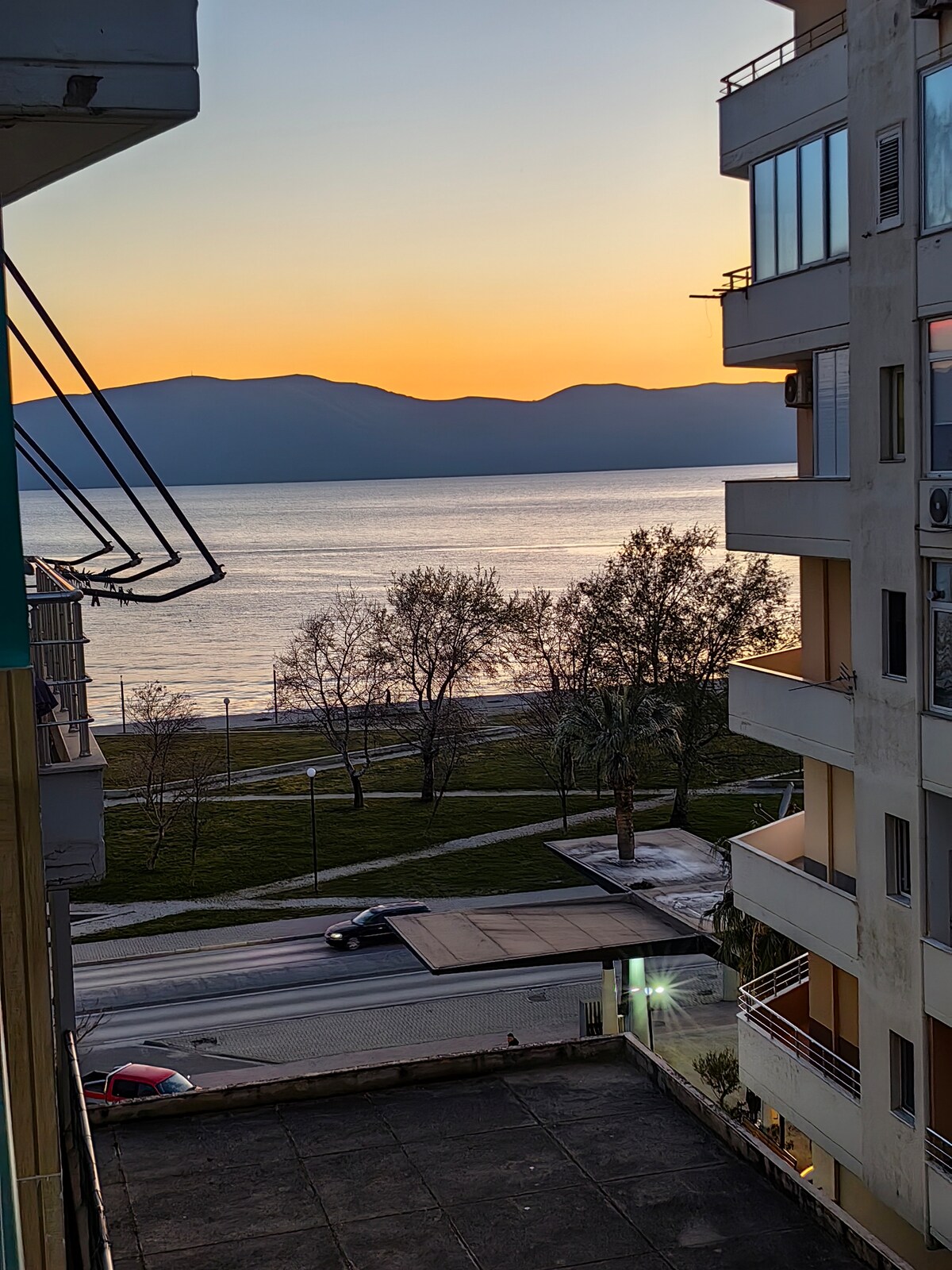 Listing 1399969724059618771