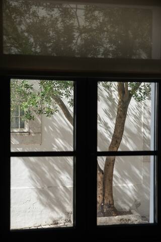 Baía Terraza Cascais Apartment gallery image 5