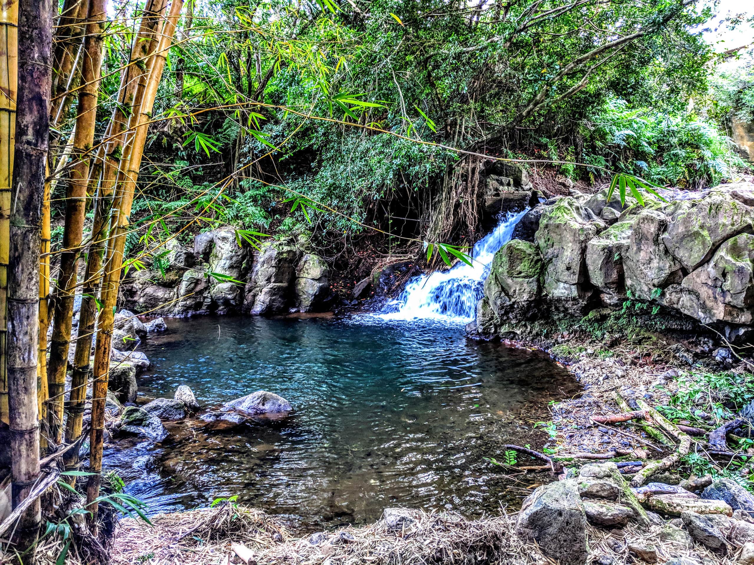 Home in Pepeekeo · ★5.0 · 1 bedroom · 1 bed · 3 shared baths - Image 37