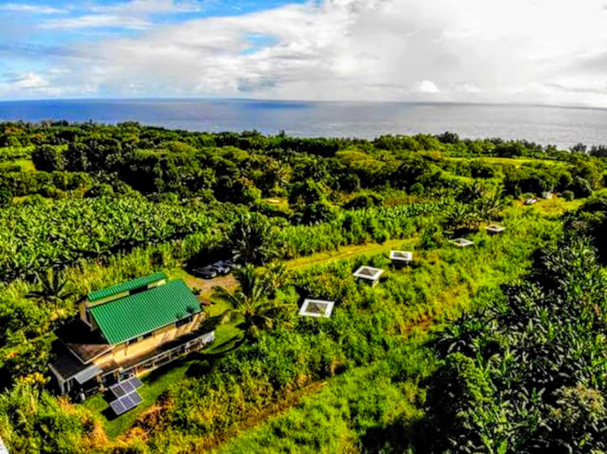 Home in Pepeekeo · ★5.0 · 1 bedroom · 1 bed · 3 shared baths - Image 30