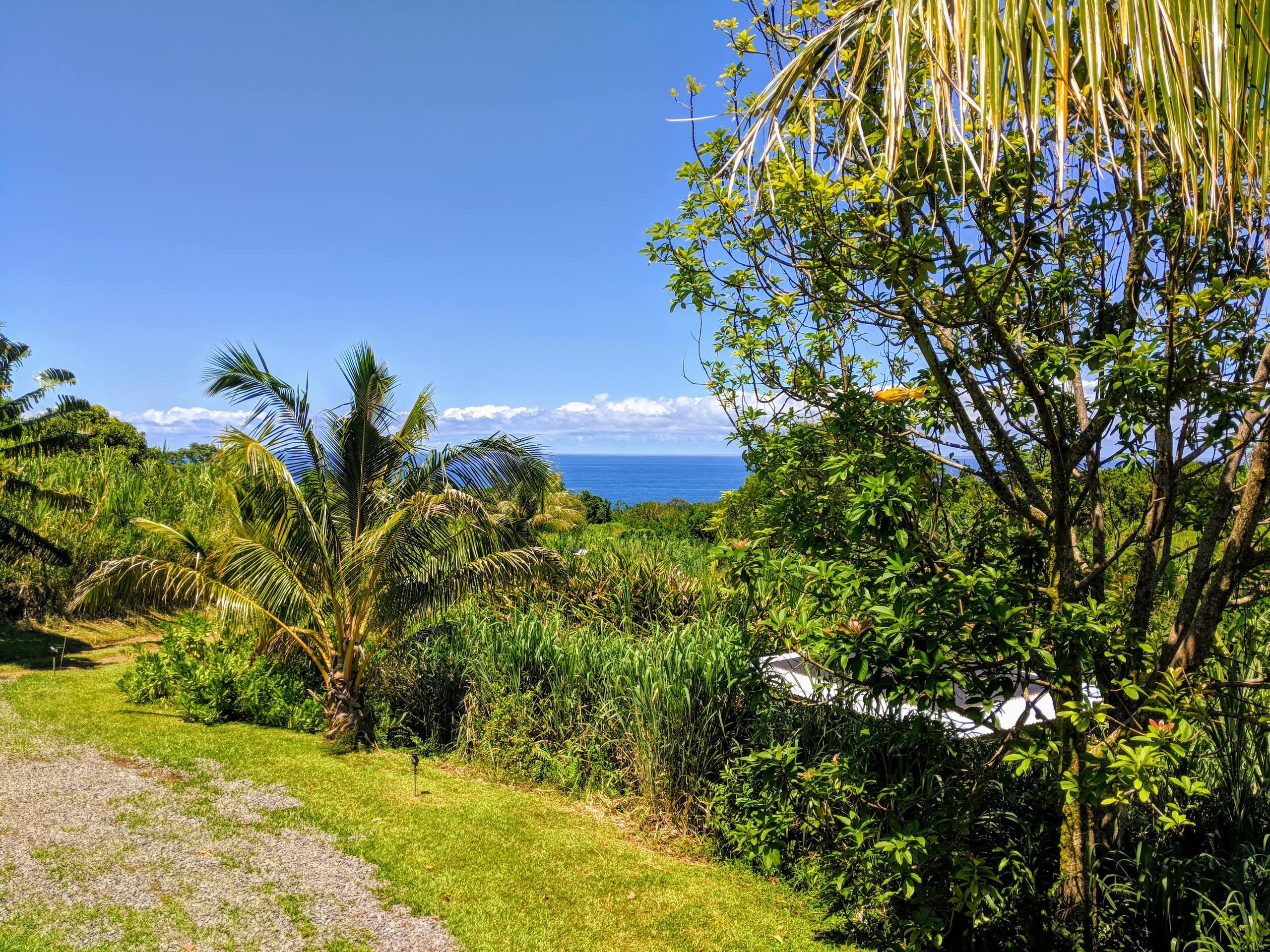 Home in Pepeekeo · ★5.0 · 1 bedroom · 1 bed · 3 shared baths - Image 28