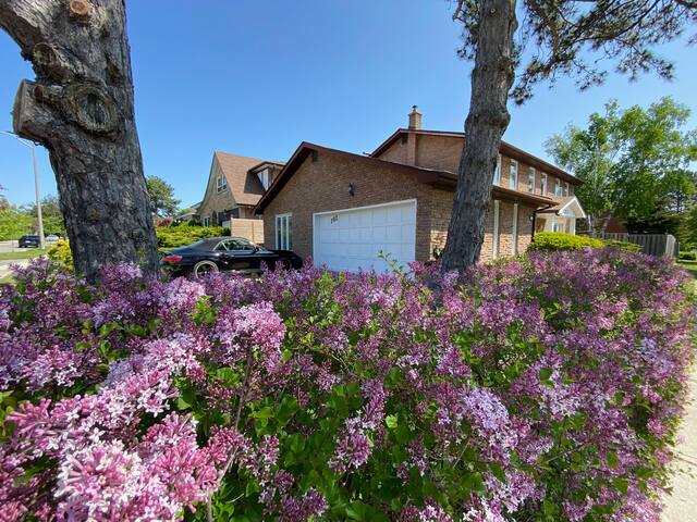 Lovely house in a nice safe community
