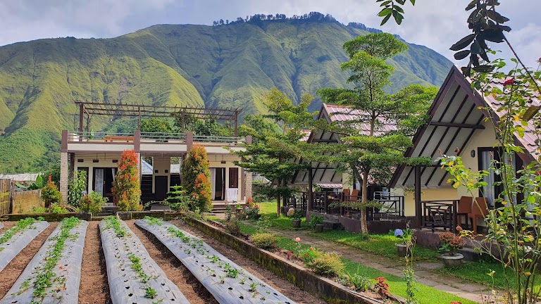 The image showcases a serene landscape featuring two charming buildings surrounded by lush greenery and mountains. A garden with neatly arranged planting beds is visible in the foreground, while a terrace area is seen above the buildings, inviting relaxation in the peaceful setting.