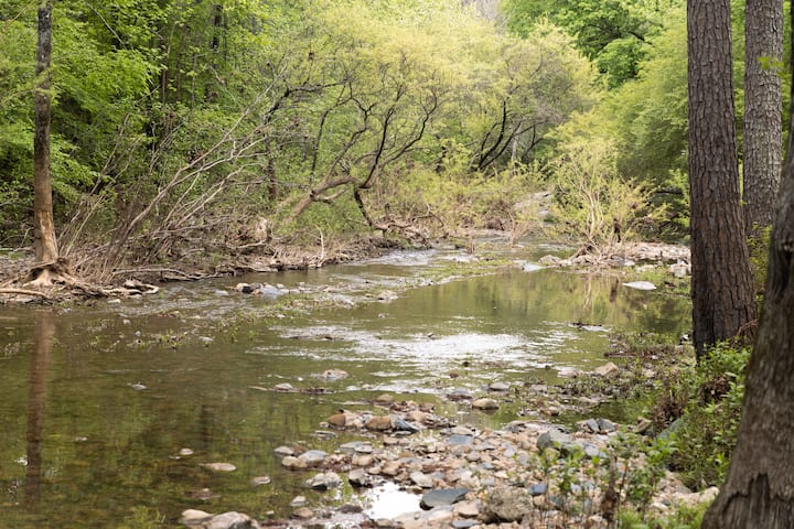 Cozy Creekside Getaway/coffee Bar/pet Friendly - Lake Ouachita State Park, Mountain Pine