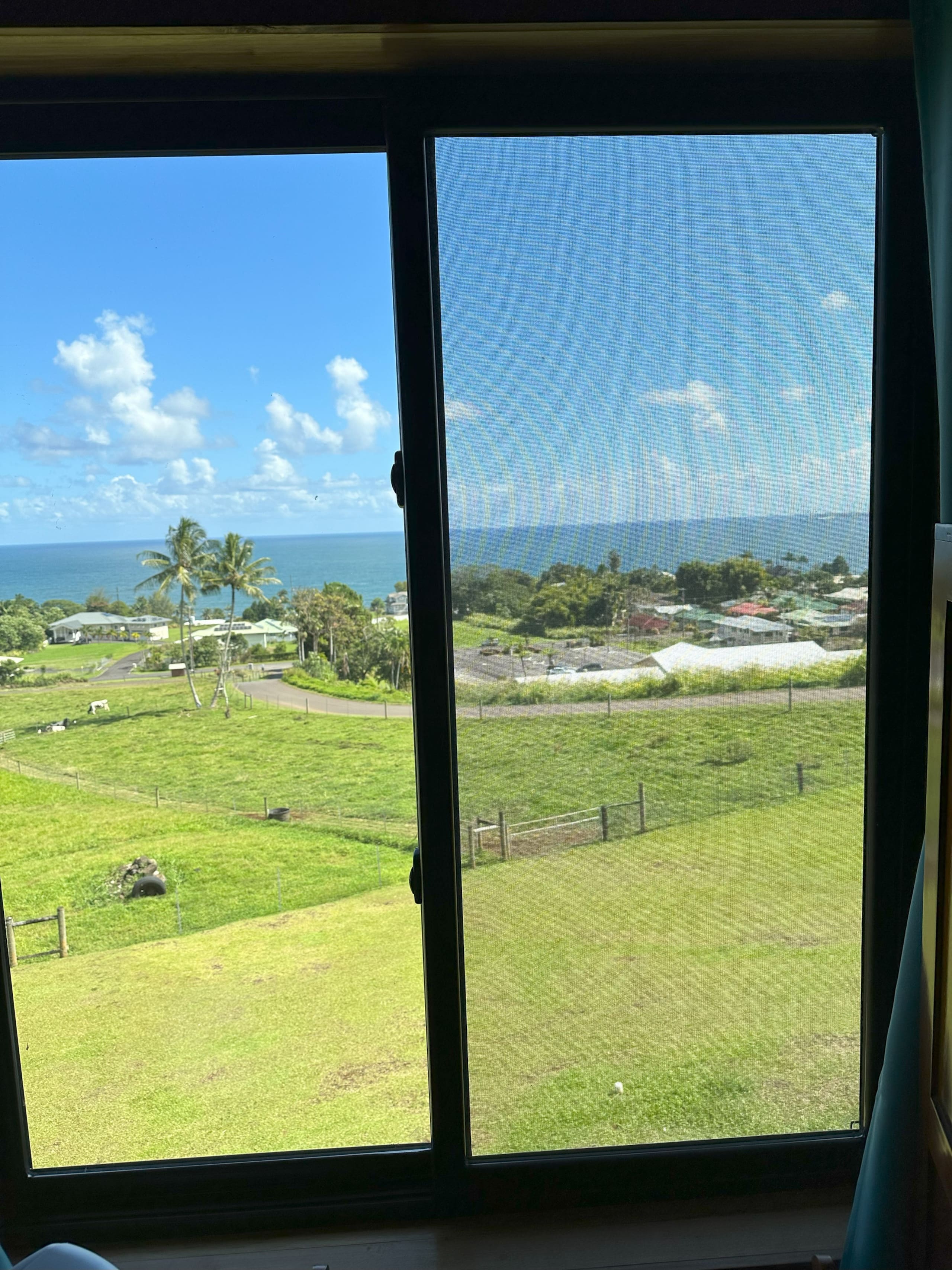 Magic Skies Top Floor Dream - Photo 17