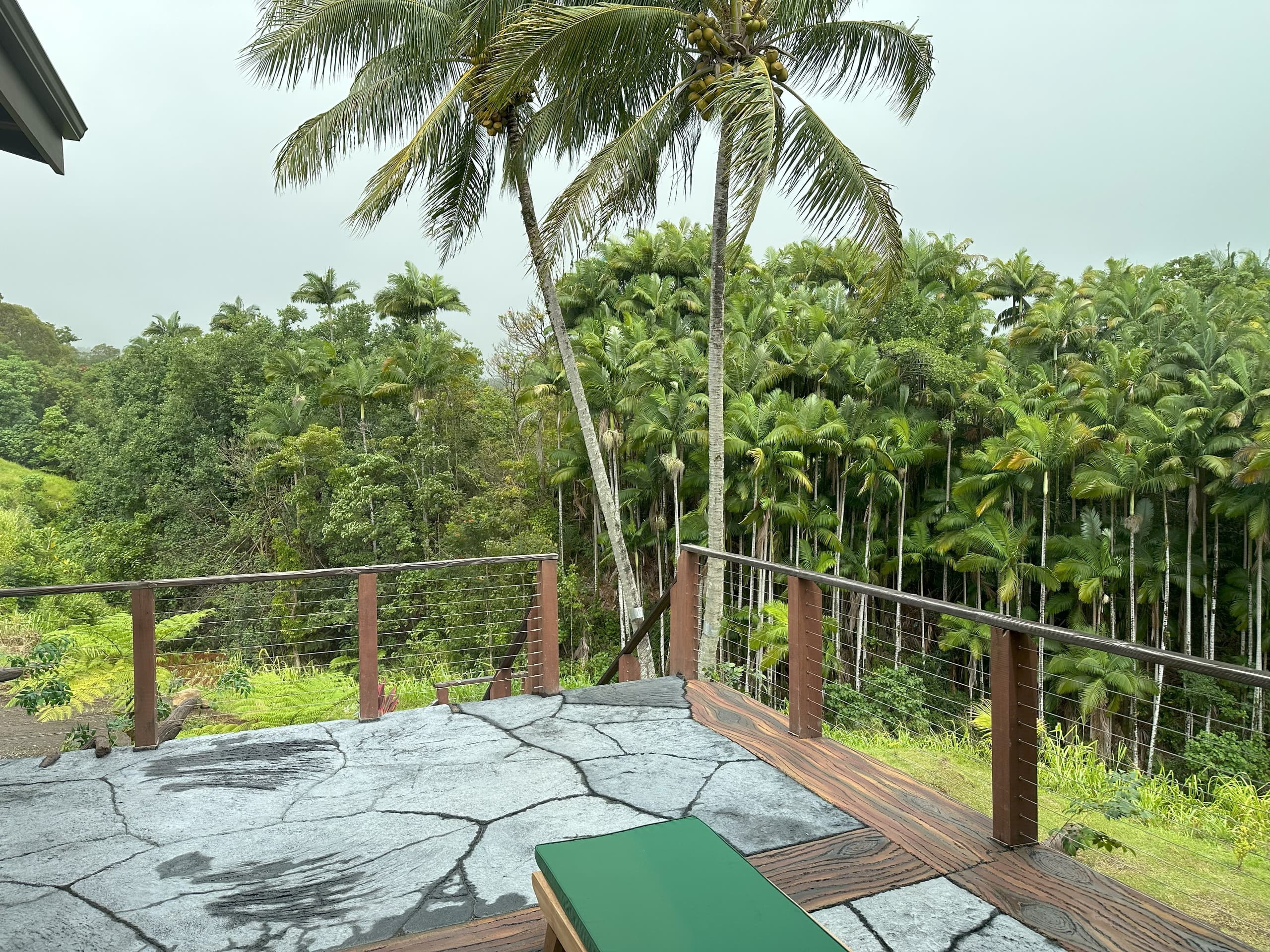 Magic Skies Top Floor Dream - Photo 2