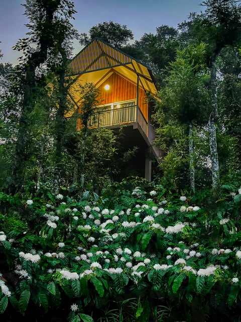 Romantic Tree Hut 1 / Infinity pool in Meppadi