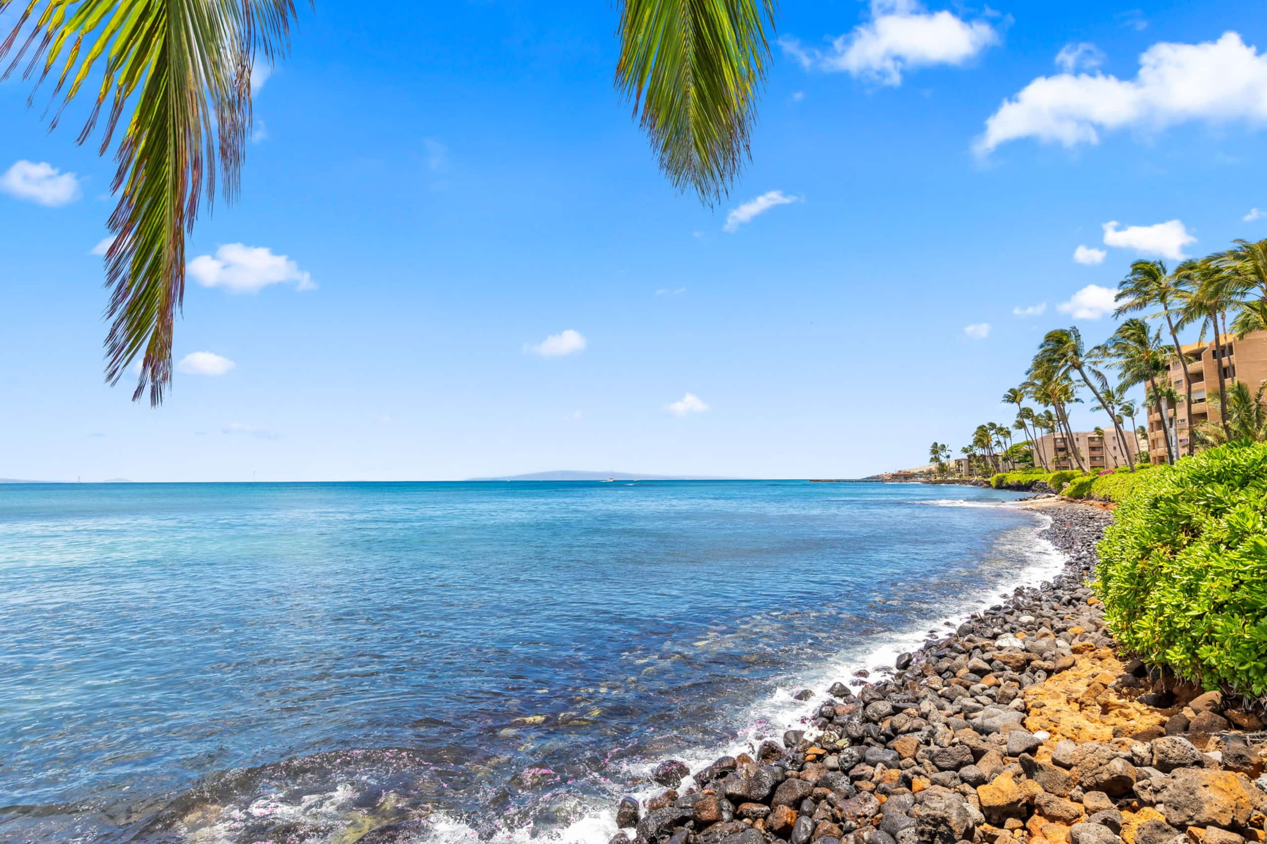 Maʻalaea Banyans Oceanfront! - Image 51