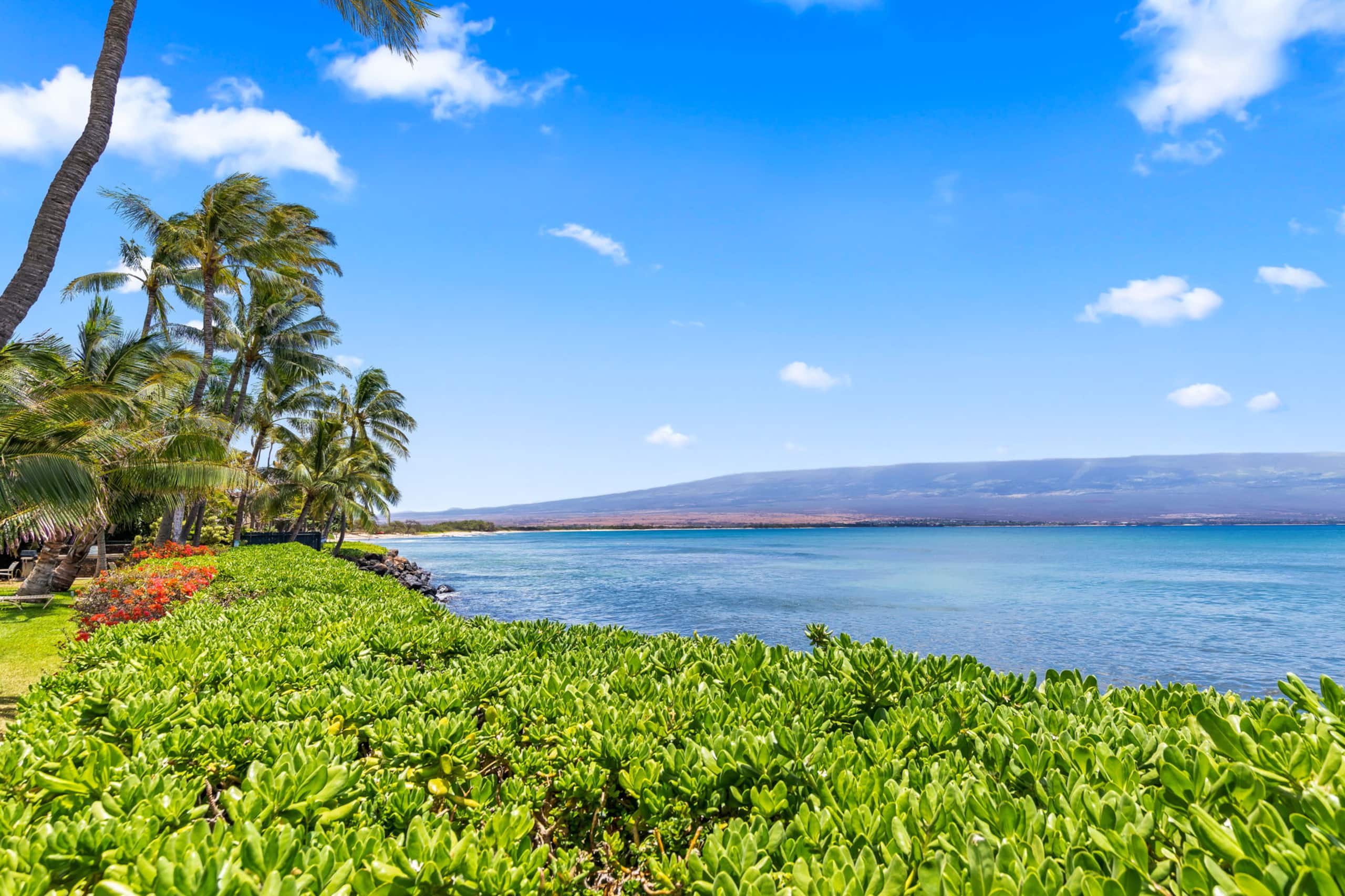 Maʻalaea Banyans Oceanfront! - Image 53