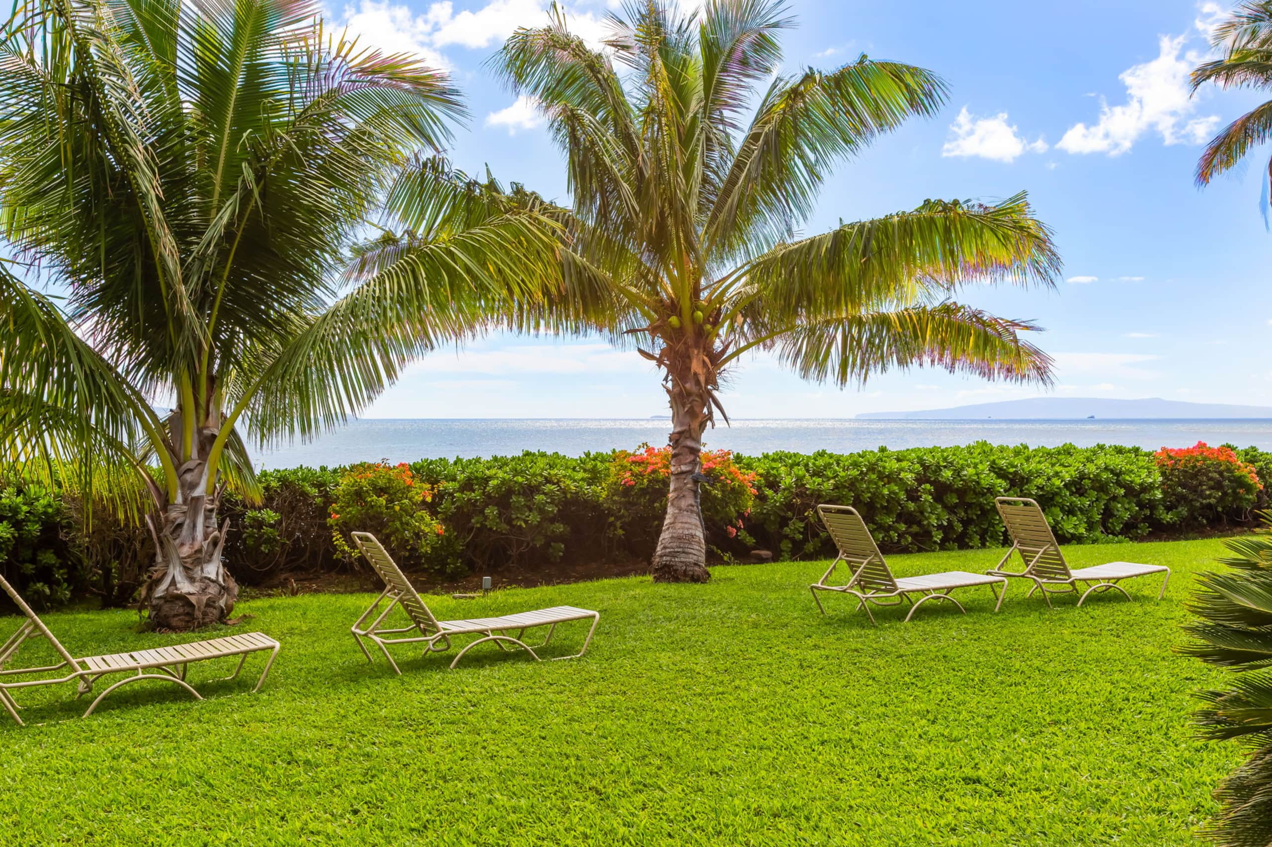 Maʻalaea Banyans Oceanfront! - Image 50