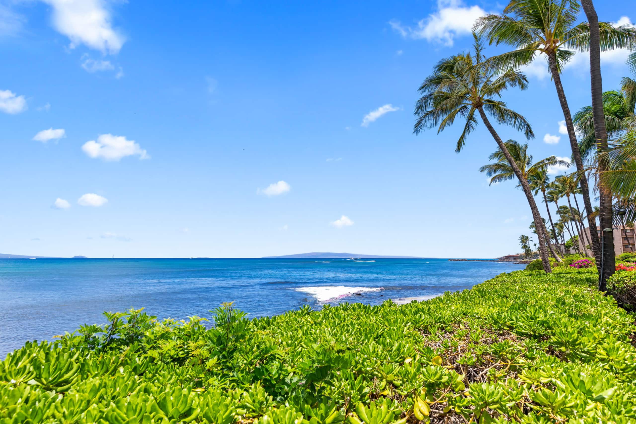 Maʻalaea Banyans Oceanfront! - Image 52