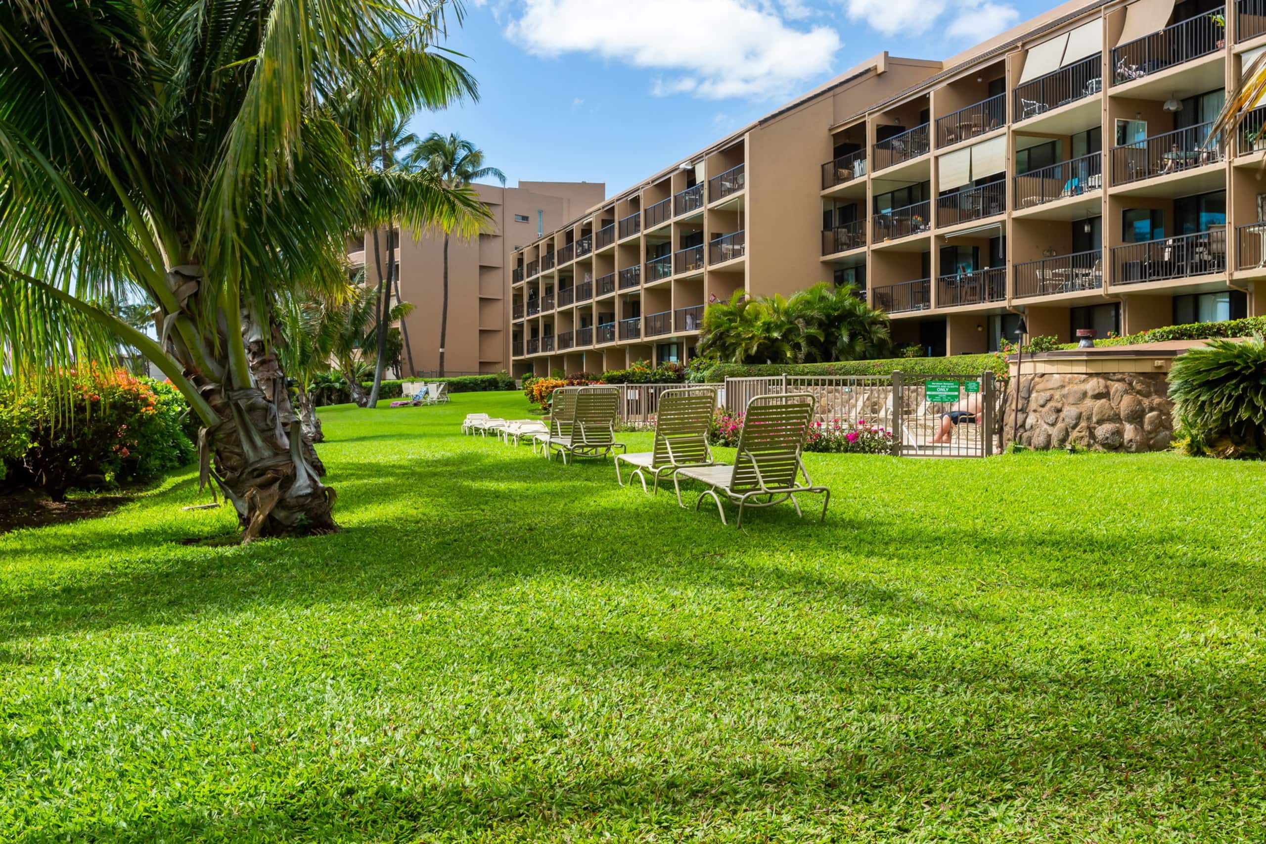 Maʻalaea Banyans Oceanfront! - Image 39