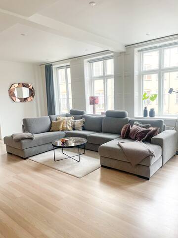 Nyhavn Luxury Apartment in City Centre gallery image 5