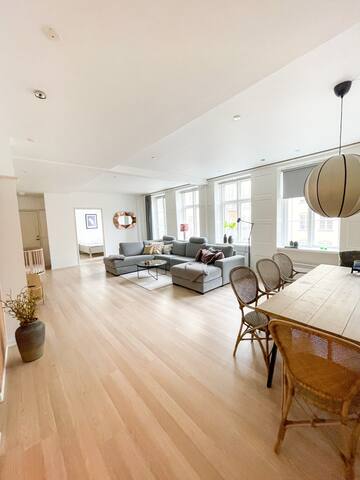 Nyhavn Luxury Apartment in City Centre gallery image 2
