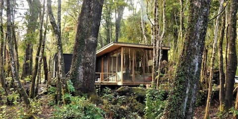 Cozy cabins in the woods.