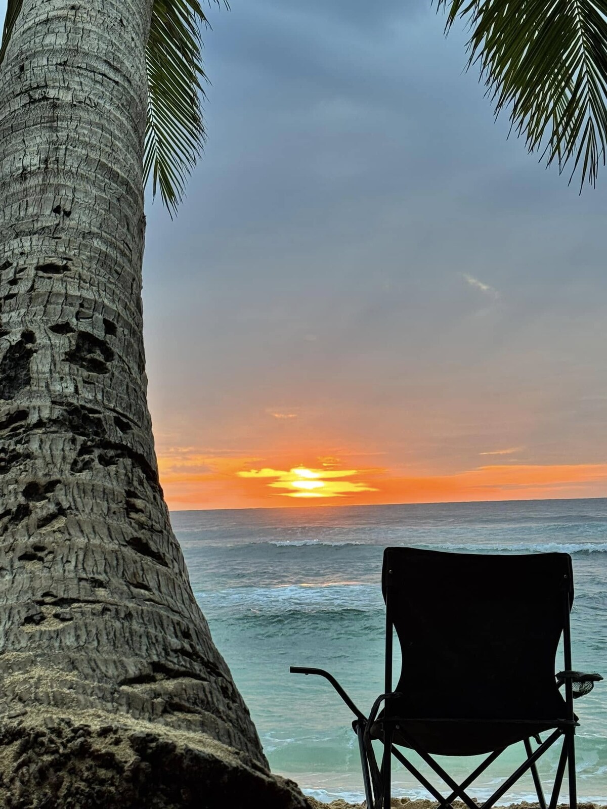 A beach scene is captured at sunset, featuring a silhouetted chair facing the ocean. The sky is filled with soft hues of orange and pink, as gentle waves can be seen lapping at the shore. A tall palm tree leans gracefully in the foreground.