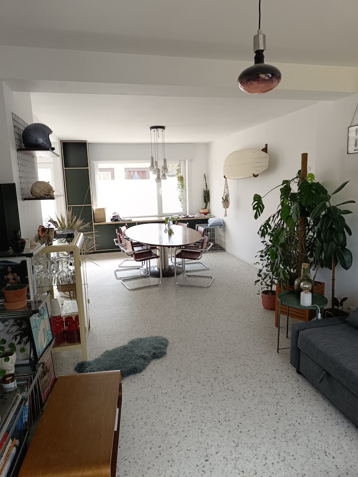 Huis Met Omheinde Tuin, Barrelsauna, Parking - Gent