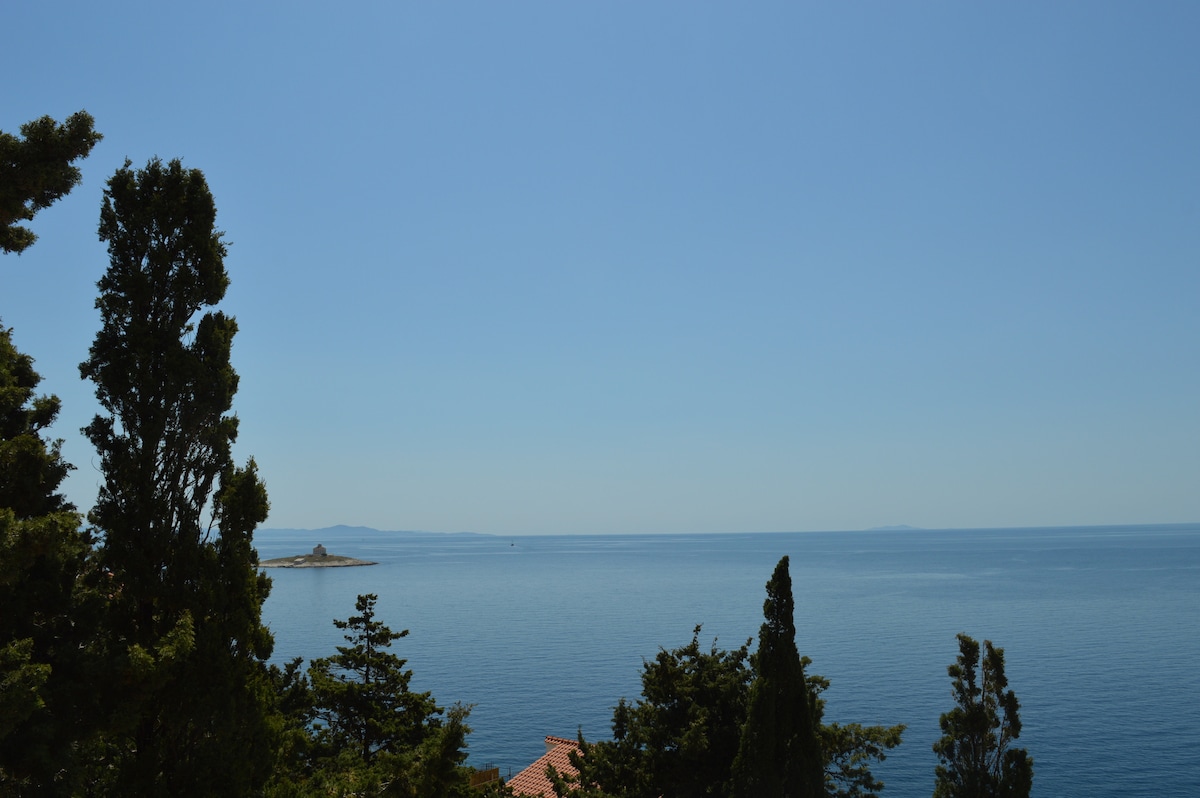 A serene view of the calm sea stretches to the horizon under a clear blue sky. Lush trees frame the scene, with a distant island visible on the water. The tranquil atmosphere encapsulates the natural beauty of Hvar.