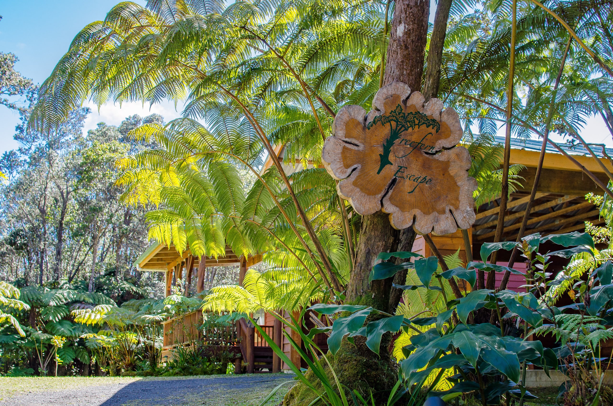 Home in Volcano · ★5.0 · 3 bedrooms · 3 beds · 2 private baths - Image 18
