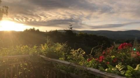 A sunrise casts a warm glow over a scenic landscape, with vibrant flowers framing the view. Rolling hills and valleys are visible in the distance, while wispy clouds drift across the sky, enhancing the peaceful ambiance of the terrace.