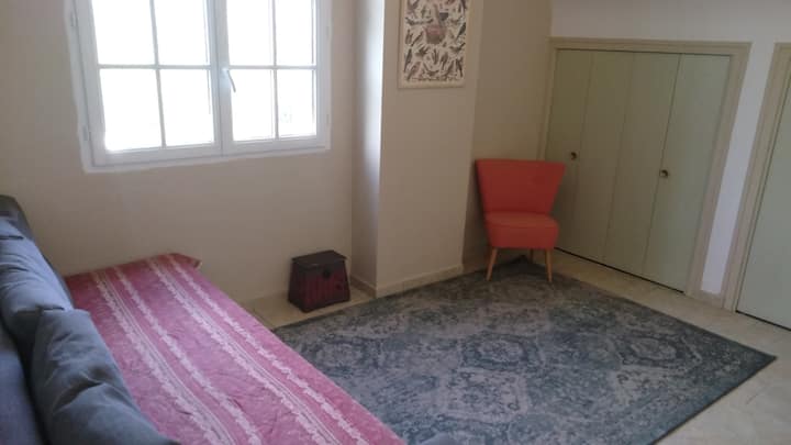 sallë pritjeje në televizor/ dhomë gjumi 4 
Divan-krevat me 2 vende