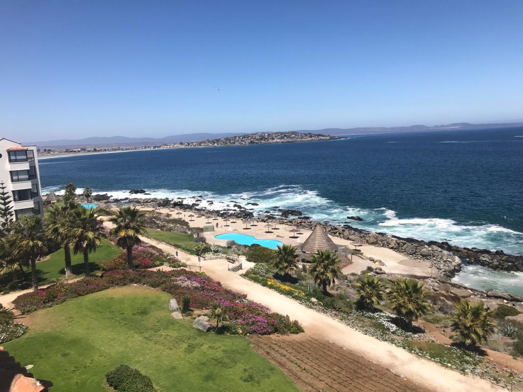 A sweeping view of the coastline is captured, showcasing rolling waves meeting rocky shores. Palm trees are positioned near a vibrant garden filled with colorful flowers. Two swimming pools are visible, complemented by a sandy area for relaxation, all under a clear blue sky.