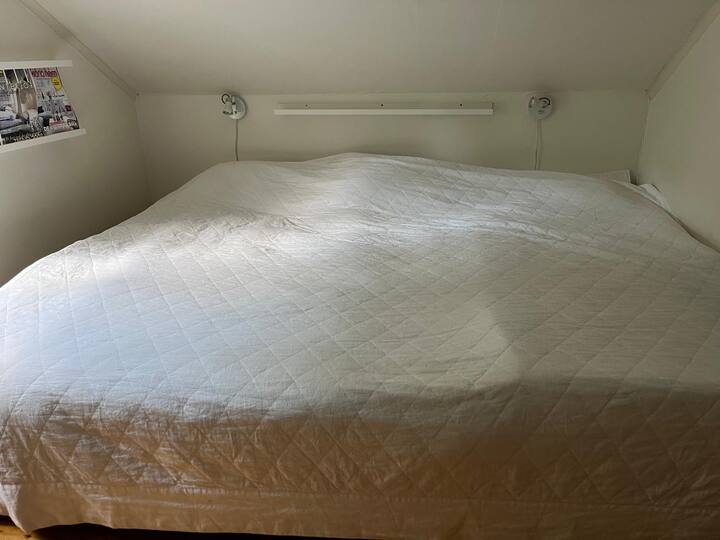 Habitación 1