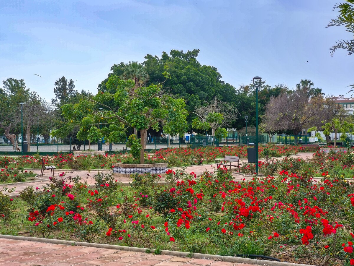 Top Airbnb: Huelin Playa 1 FreshApartments Studio en Jardín De La Abadía