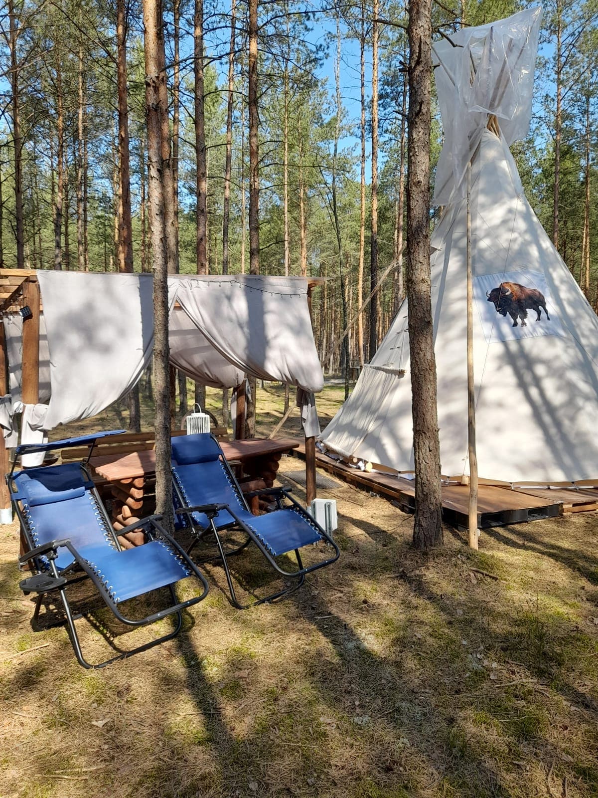 A traditional Indian tipi stands amidst tall trees, with a decorative bison motif on its fabric. Nearby, a wooden picnic table is partially shaded by fabric drapes, accompanied by two blue lounge chairs positioned on the forest floor, surrounded by soft, natural scenery.