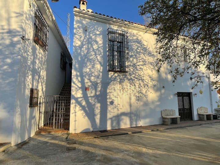 Zuchar - Guadix