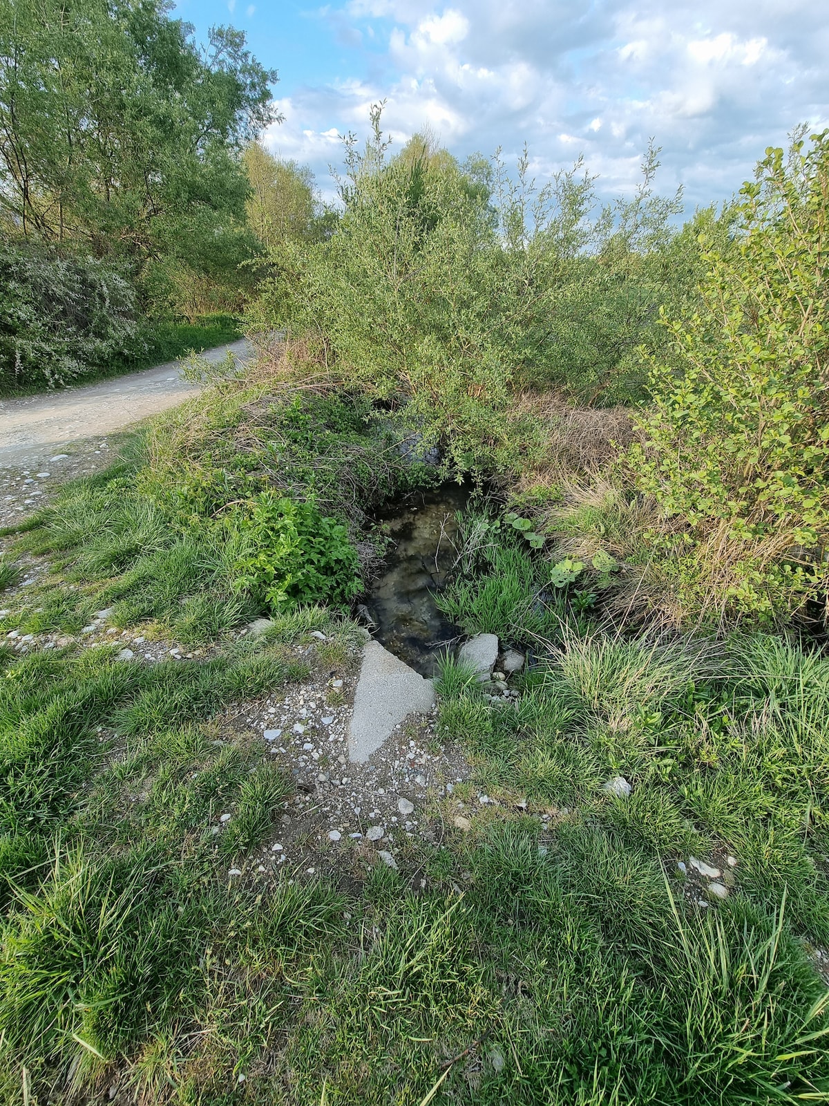 A natural stream flows gently through a rocky bed, surrounded by lush greenery and shrubs. A gravel path is visible nearby, leading through the vibrant landscape. Soft, diffused light filters through scattered clouds, inviting exploration of the serene environment.