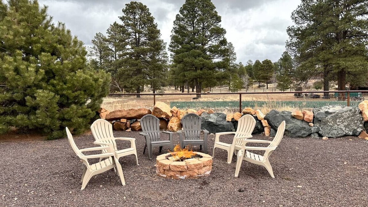 A fire pit is surrounded by six outdoor chairs, featuring a mix of colors. Natural stones outline the pit, and a gravel surface extends outward. Lush green trees and a rustic landscape provide a serene backdrop, creating an inviting outdoor space for gatherings.