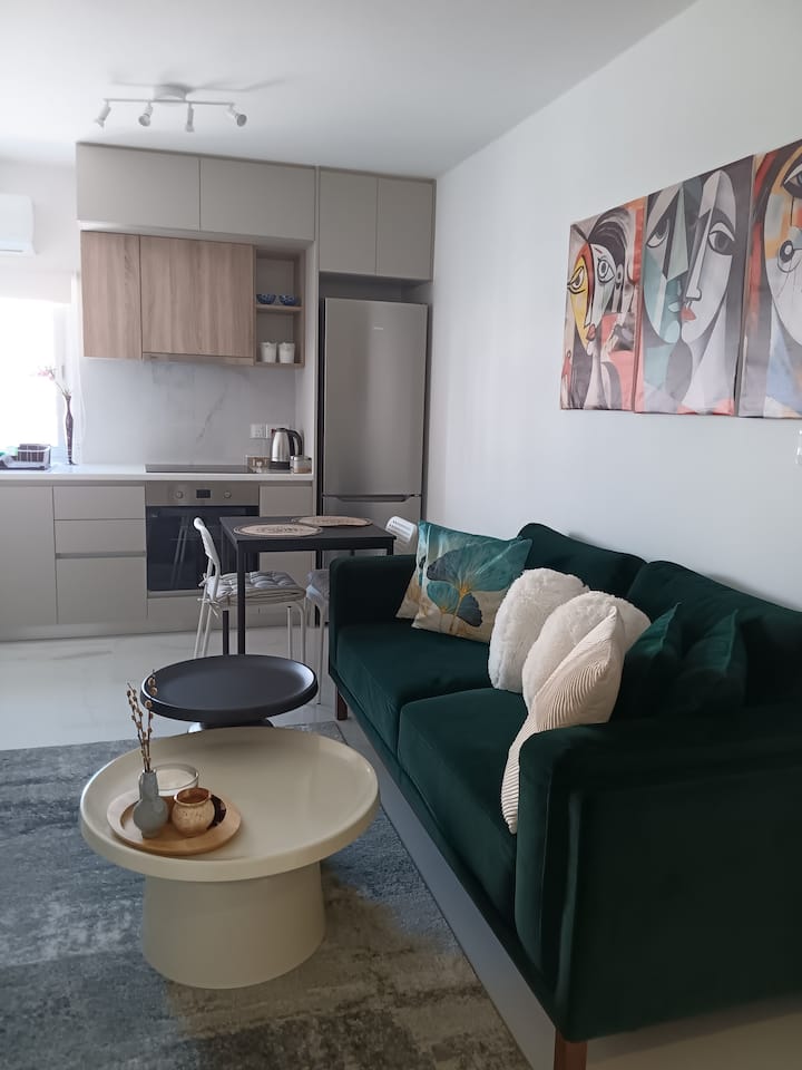 Elegant Just Renovated Apartment In Nicosia - 尼克西亞