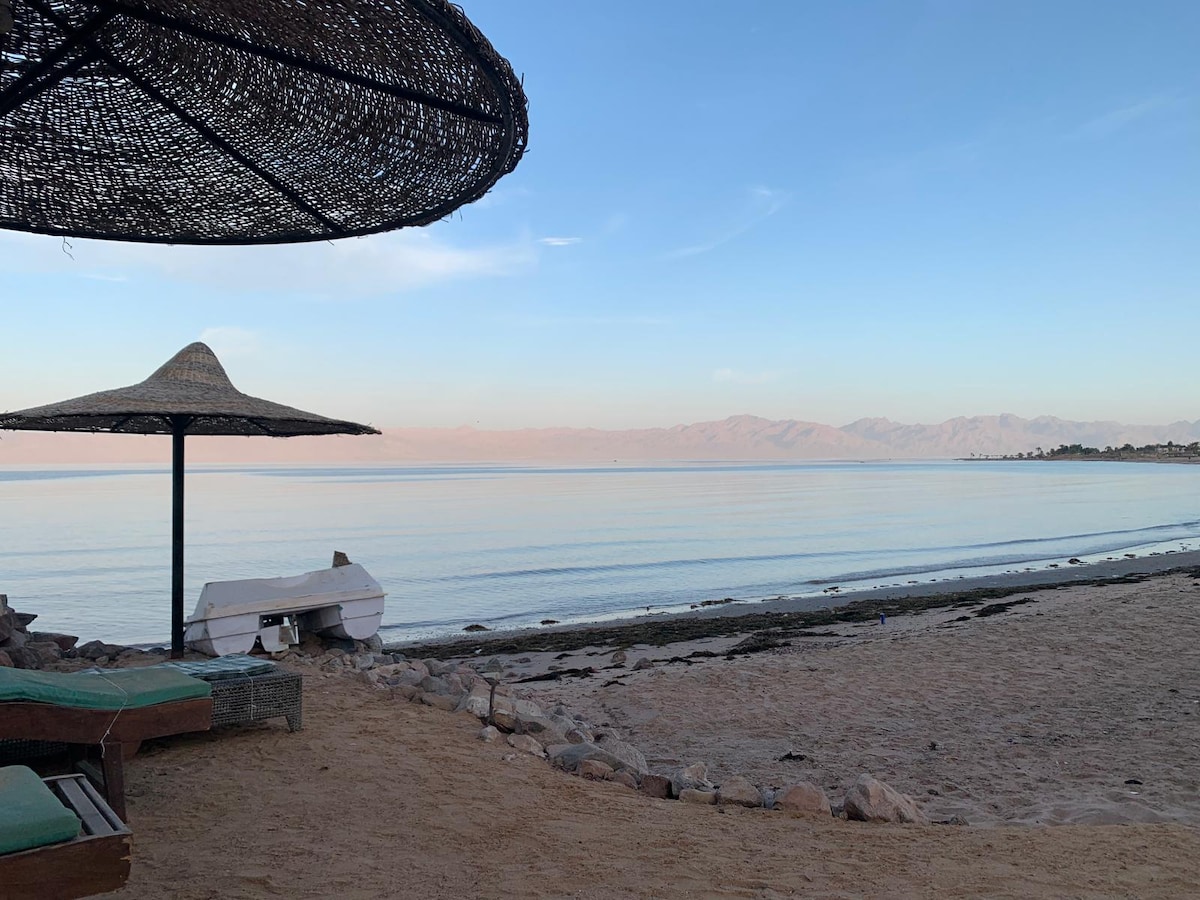 A serene beach scene is depicted with gentle waves lapping at the shoreline. A shaded area features a straw umbrella providing shelter, with beach lounge chairs situated nearby on the sandy shore. The distant mountains create a calming backdrop beneath a clear sky.