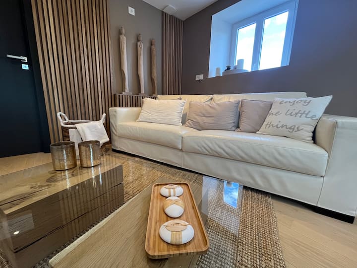 Magnifique Chambre En Suite - Annecy-le-Vieux