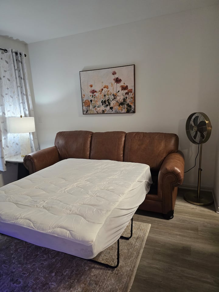 Comfy Apartment In Frisco - Frisco, TX