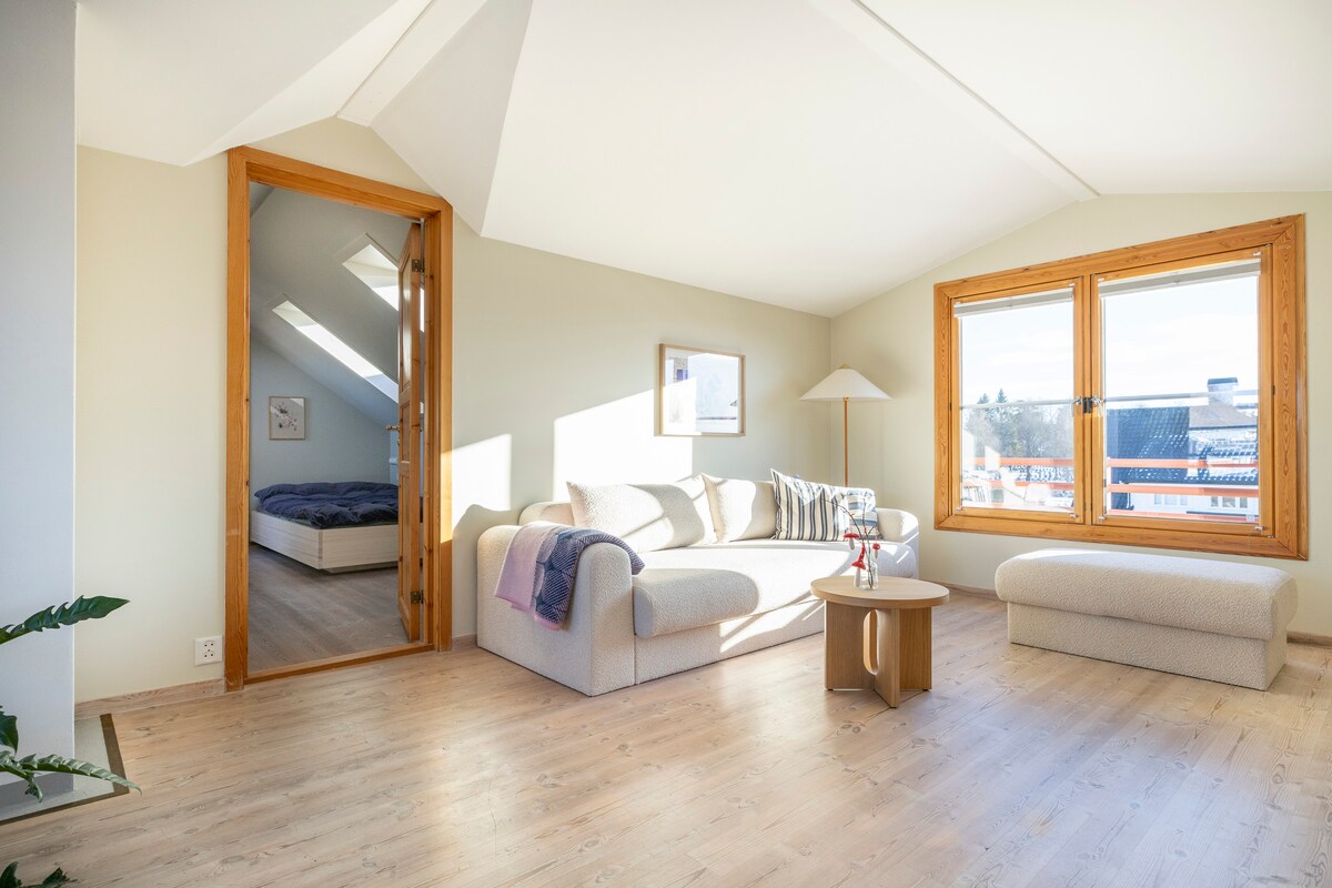 140 rozkladacích pohoviek v televíznej miestnosti/domácej kancelárii. Priestranné, svetlé a pohodlné.