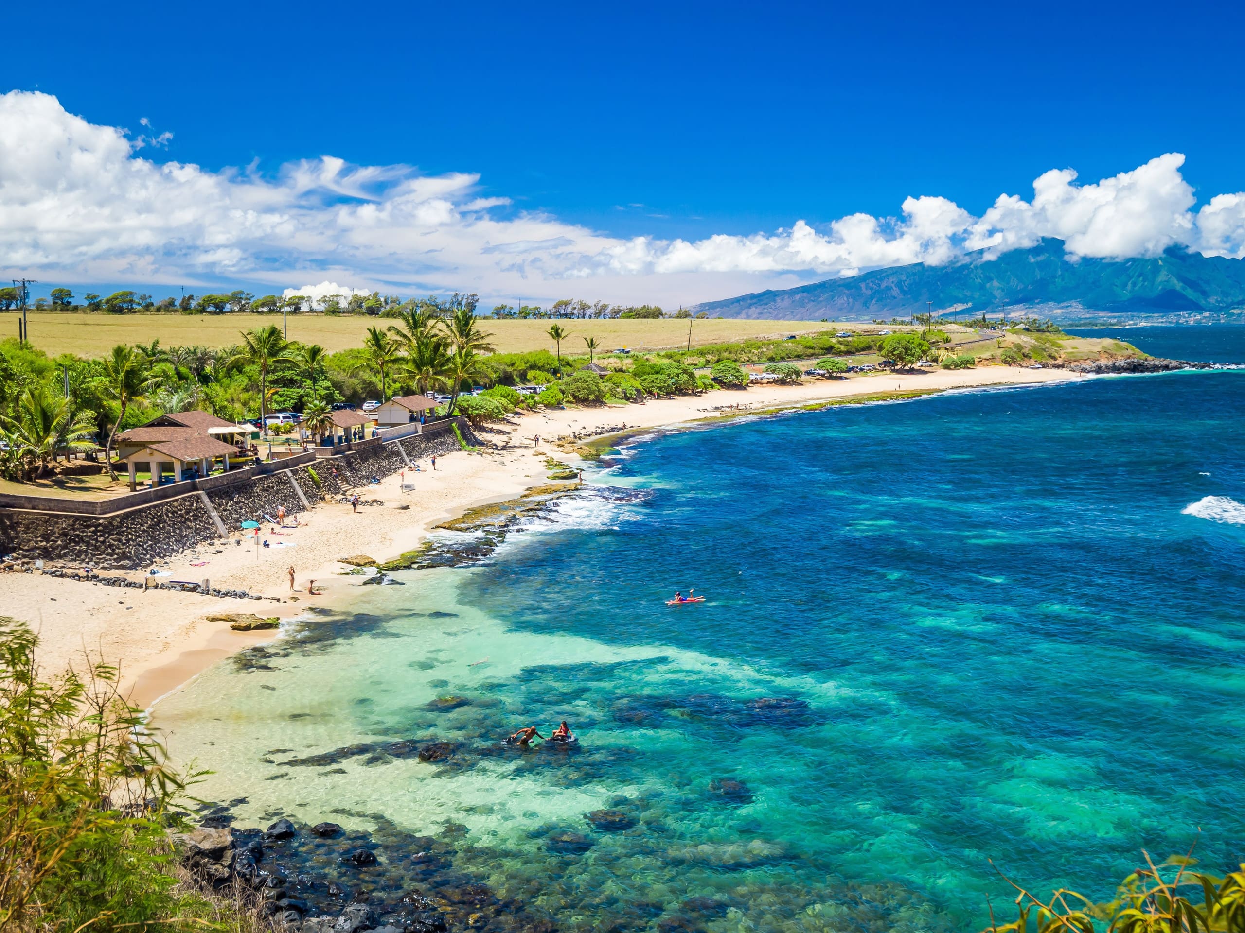 Condo in Kihei · ★4.5 · 3 bedrooms · 5 beds · 2 baths - Image 40