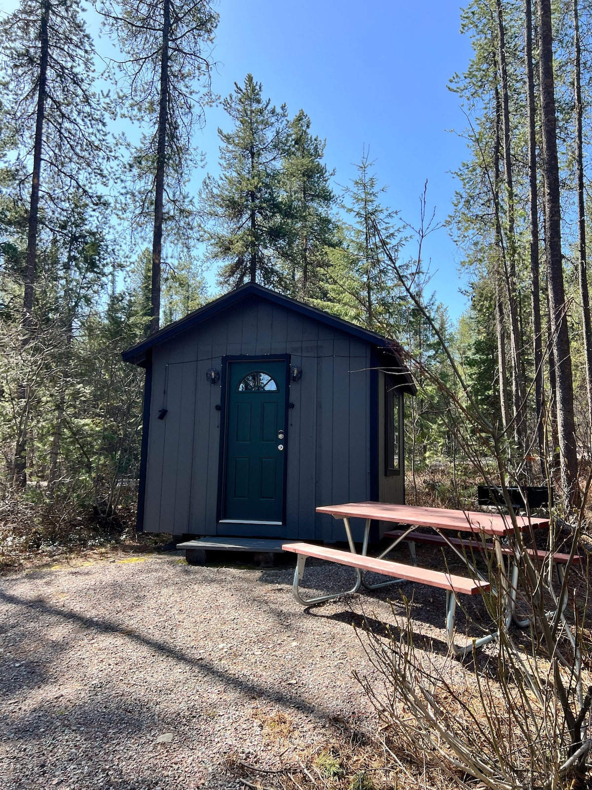 A rustic shelter is set amidst tall pine trees, featuring a dark exterior with a welcoming green door. A picnic table is positioned nearby on a gravel path, surrounded by natural vegetation.