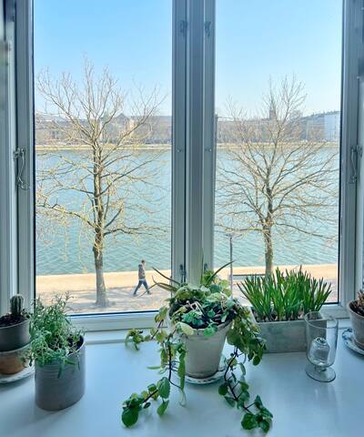 On the Lake – the quiet sunny side gallery image 2