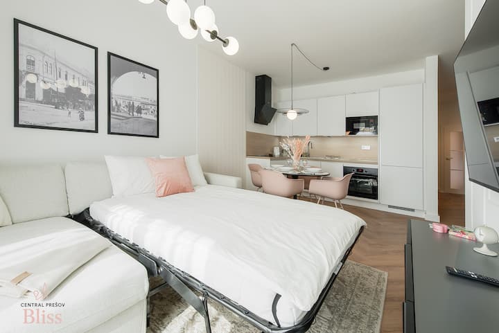 שני האורחים האחרים ישנים על הספה הנפתחת. לדוגמה, שני ילדים או שני מבוגרים לשהייה לטווח קצר. עם הגעתכם, הספה תהיה מקופלת (כך שתוכלו להשתמש בה גם בצורה כזו). לאחר מכן אשלח לך מידע על אופן פתיחתו.